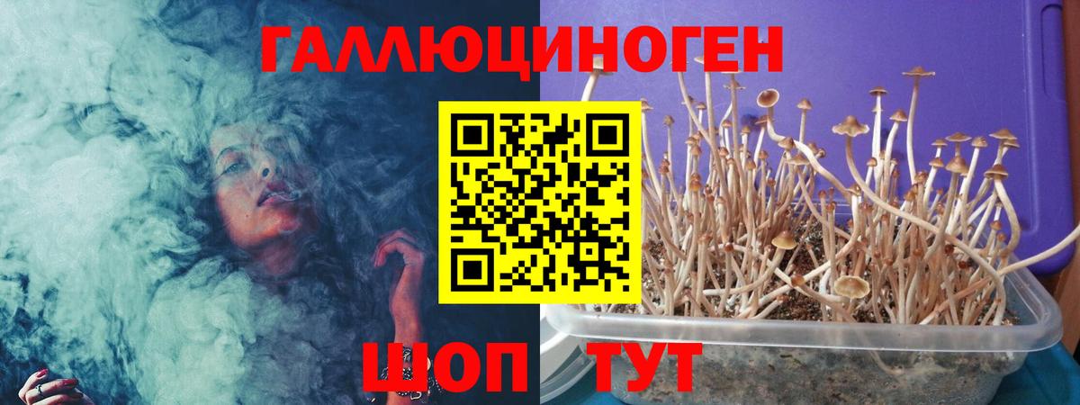 Сибай  Псилоцибиновые грибы Magic Shrooms  Галлюциногенные грибы Psilocybe  хочу   Вход с VPN 